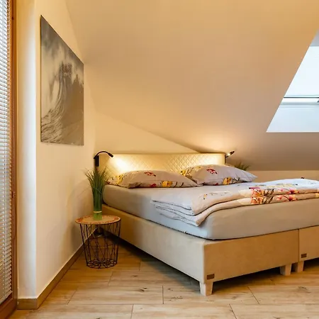 Wellness Luxury Apartment Plzen
