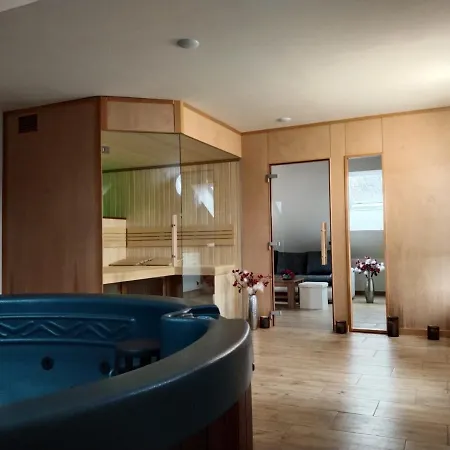 Wellness Luxury Lejlighed Plzeň